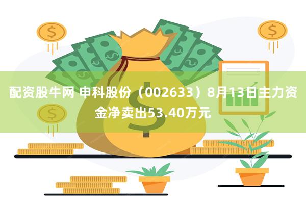 配资股牛网 申科股份（002633）8月13日主力资金净卖出53.40万元