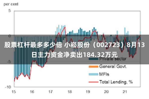 股票杠杆最多多少倍 小崧股份（002723）8月13日主力资金净卖出184.32万元