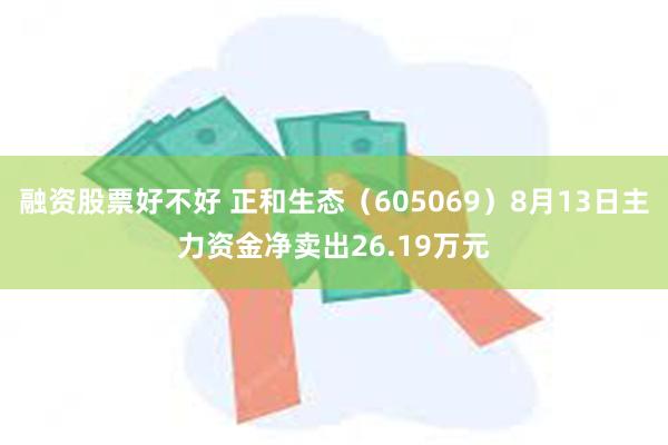 融资股票好不好 正和生态（605069）8月13日主力资金净卖出26.19万元