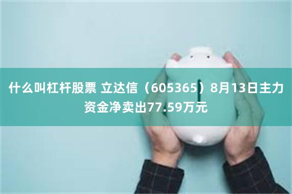 什么叫杠杆股票 立达信（605365）8月13日主力资金净卖出77.59万元