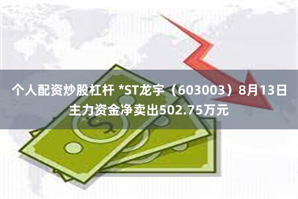 个人配资炒股杠杆 *ST龙宇（603003）8月13日主力资金净卖出502.75万元