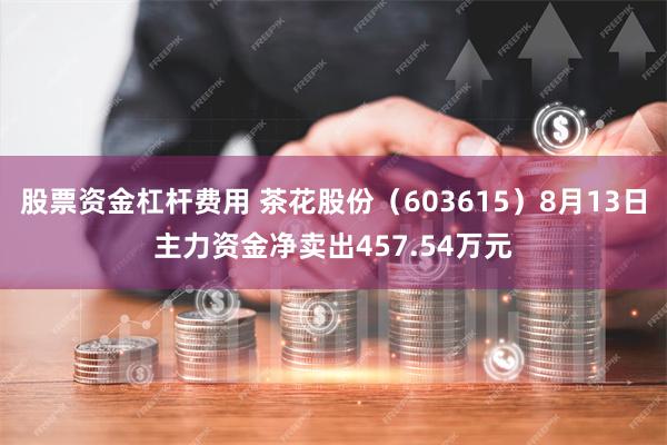 股票资金杠杆费用 茶花股份（603615）8月13日主力资金净卖出457.54万元