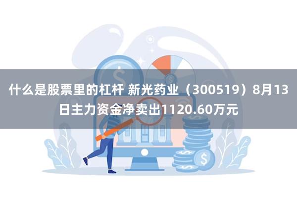 什么是股票里的杠杆 新光药业（300519）8月13日主力资金净卖出1120.60万元