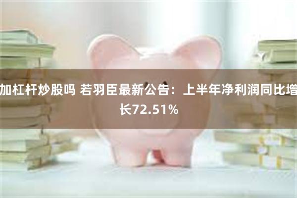 加杠杆炒股吗 若羽臣最新公告：上半年净利润同比增长72.51%