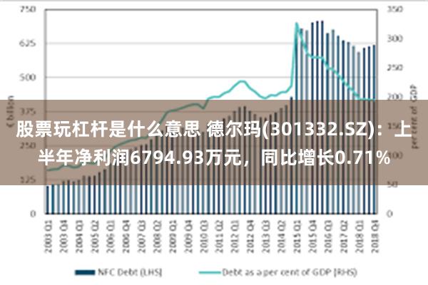 股票玩杠杆是什么意思 德尔玛(301332.SZ)：上半年净利润6794.93万元，同比增长0.71%