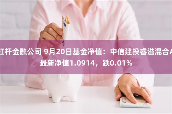 杠杆金融公司 9月20日基金净值：中信建投睿溢混合A最新净值1.0914，跌0.01%