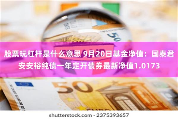 股票玩杠杆是什么意思 9月20日基金净值：国泰君安安裕纯债一年定开债券最新净值1.0173