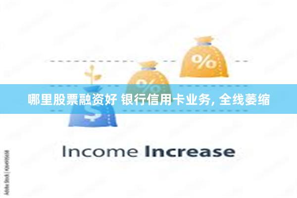 哪里股票融资好 银行信用卡业务, 全线萎缩