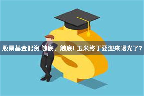 股票基金配资 触底、触底! 玉米终于要迎来曙光了?