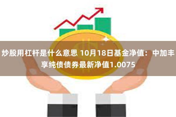 炒股用杠杆是什么意思 10月18日基金净值：中加丰享纯债债券最新净值1.0075