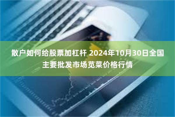 散户如何给股票加杠杆 2024年10月30日全国主要批发市场苋菜价格行情