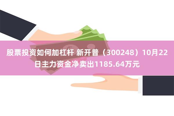 股票投资如何加杠杆 新开普（300248）10月22日主力资金净卖出1185.64万元