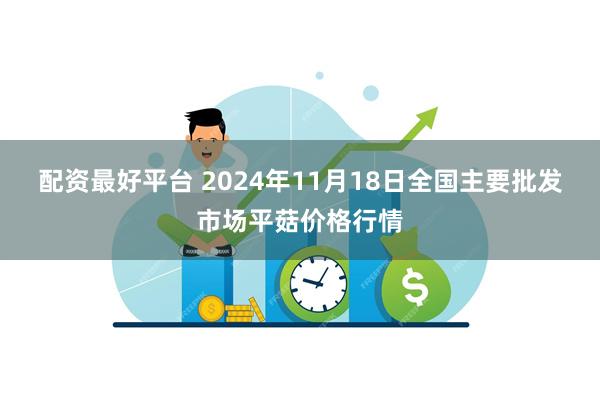 配资最好平台 2024年11月18日全国主要批发市场平菇价格行情