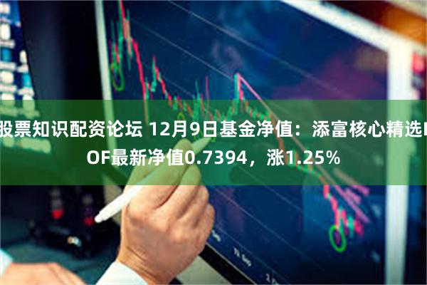 股票知识配资论坛 12月9日基金净值：添富核心精选LOF最新净值0.7394，涨1.25%